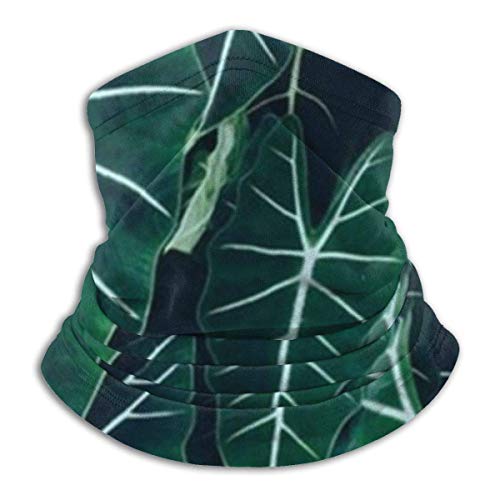 Ewtretr Leaves Winter Fleece Neck Polaina Calentador de cuello Mascarilla al aire libre