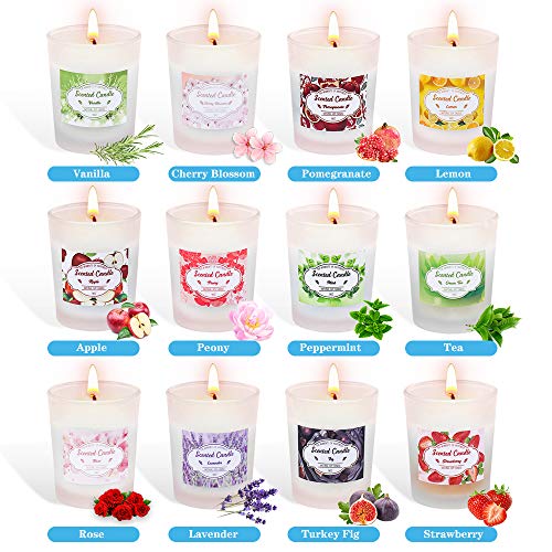 Facio 12 Velas Perfumadas de Regalo, Vela Aromática Regalo Originales para Mujer de Soja 100% Natural Vela Viaje para Aliviar el Estrés para Yoga Baño Dormitorio