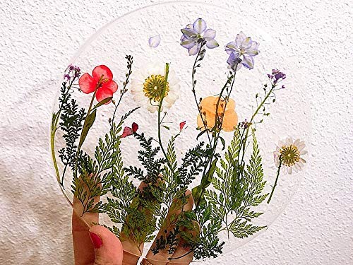 Fantasy Craft 0,75 Kg Resina Epoxi Totalmente Transparente, Alta Dureza y Resistencia. Varios Pesos Disponibles, 0.75 Kg