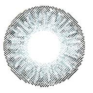 'Farbige Contacto lente Grey One gris Contacto lente Colores Sin grosor con recipiente de lente de contacto