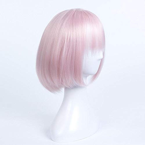 FATE/FGO Matthew Gillette Shield Madre Sister Shielder Juegos móviles Matthew cosplay peluca