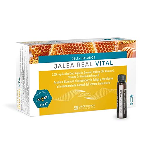 Fdb Jelly Balance Vital Jalea Real 20Viales 1 Unidad 200 g