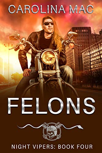 Felons (Night Vipers Book 4) (English Edition)