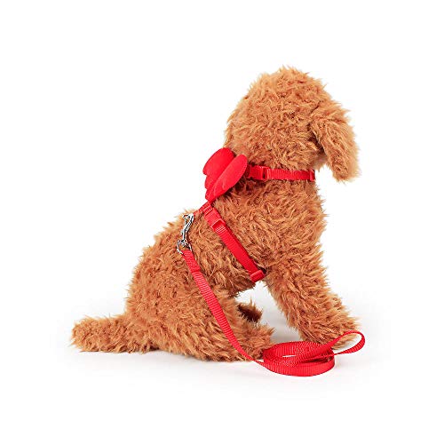FHNLKFS Cute Angel Pet Dog Correas y Collares Set Puppy Leads para Perros pequeños Gatos Designer Ajustable Dog Arnés Pet Traction Rope-XS Azul_España