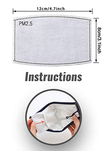 Filtro de carbón activado PM2.5 – 5 capas reemplazables anti niebla a prueba de polvo PM2.5 filtros reemplazables (30 piezas)