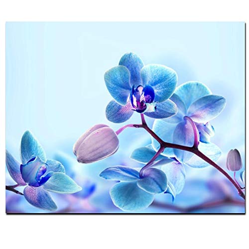 Flor de la orquídea azul pintura al óleo moderna impresión en lienzo HD cartel arte de la pared sala de estar sofá hogar sin marco pintura decorativa A25 60x90cm