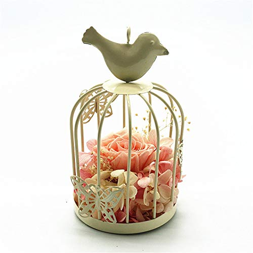 Flor Preservada Flor de Rosa preservada Hecho a Mano Rosas Nunca marchitas, Rosa encantada, Regalos de Fiesta de San Valentín, Regalos de Boda, for Ella para el día de San Valentín Cum