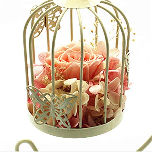 Flor Preservada Flor de Rosa preservada Hecho a Mano Rosas Nunca marchitas, Rosa encantada, Regalos de Fiesta de San Valentín, Regalos de Boda, for Ella para el día de San Valentín Cum