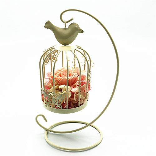 Flor Preservada Flor de Rosa preservada Hecho a Mano Rosas Nunca marchitas, Rosa encantada, Regalos de Fiesta de San Valentín, Regalos de Boda, for Ella para el día de San Valentín Cum