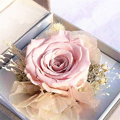 Flor Preservada Regalos de flores de rosas hechas a mano for aniversario, cumpleaños, día de San Valentín, boda, regalo for ella, mamá, esposa, novia para el día de San Valentín Cumpleaños de la madre