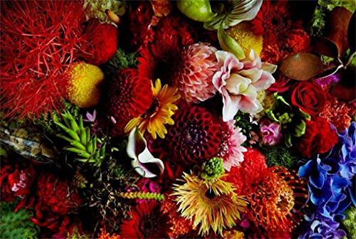 Flora Magnifica: The Art of Flowers in Four Seasons