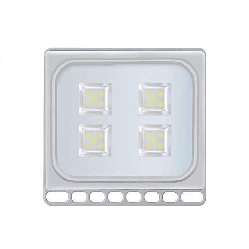 Foco LED exterior con Echufe, Resistente al Agua IP65, Focos LED Exteriores Jardín Terraza Fachada etc. (Blanco frío, 20w)