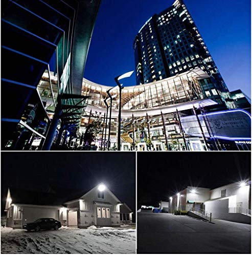 Foco LED exterior con Echufe, Resistente al Agua IP65, Focos LED Exteriores Jardín Terraza Fachada etc. (Blanco frío, 20w)