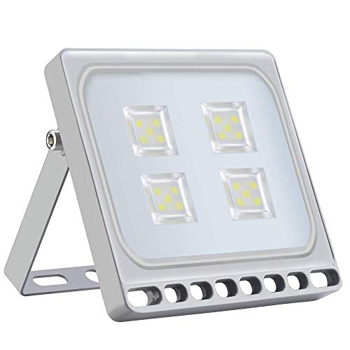 Foco LED exterior con Echufe, Resistente al Agua IP65, Focos LED Exteriores Jardín Terraza Fachada etc. (Blanco frío, 20w)