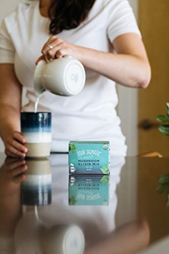 Four Sigma Foods - Reishi - Caja de 20 Bolsas