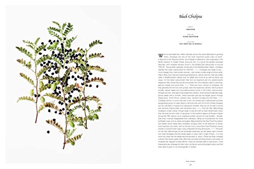 From the Earth: World's Great, Rare and Almost Forgotten Vegetables