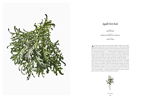 From the Earth: World's Great, Rare and Almost Forgotten Vegetables