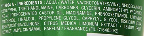 Fructis Style Natural Chic 200 Ml