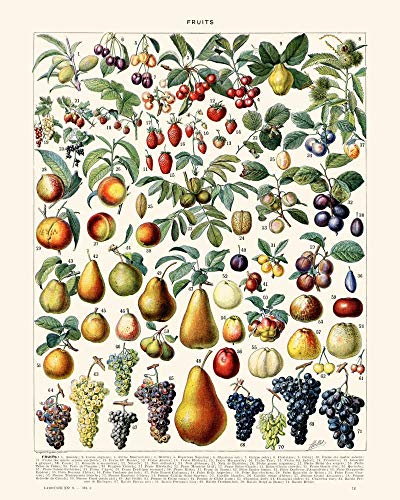 Frutas y Verduras Vintage Print Set de 2 – Decoración de Cocina – Arte de Cocina – Decoración del hogar – Ciencia botánica – Larousse – VP1031UK, algodón, 30 x 40 cm
