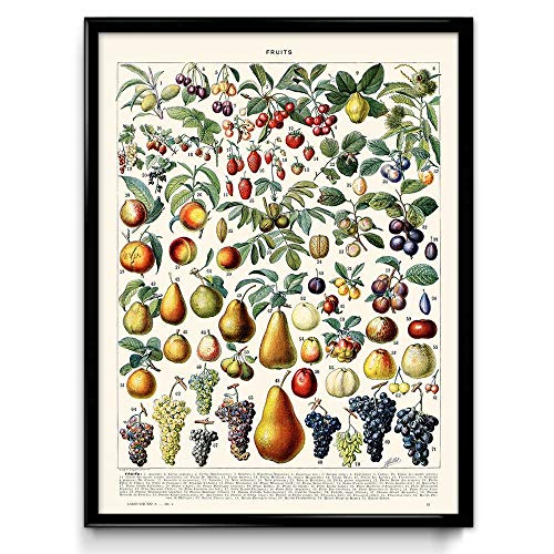 Frutas y Verduras Vintage Print Set de 2 – Decoración de Cocina – Arte de Cocina – Decoración del hogar – Ciencia botánica – Larousse – VP1031UK, algodón, 30 x 40 cm