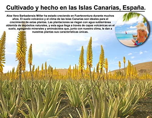 fuerte ALOE® Aloe Vera Gel 100% Organico puro - 250 ml / 8.45 fl oz