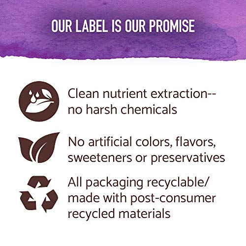 Garden Of Life My Kind Organics - Maca Root Powder 225 grams