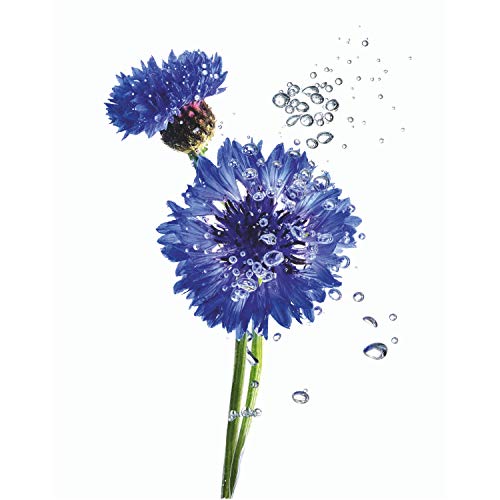 Garnier Bio - Cofre Rutina: Crema Hidratante Nutritiva con Aceite de Argán y Ácido Hialurónico (50 ml) y Agua Micelar con Agua de Flor de Aciano (400 ml)