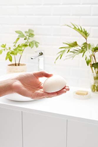 Garnier BIO Esponja Exfoliante Limpiadora de Konjac Natural 100% Vegetal, apta para Pieles Sensibles - 1 unidad