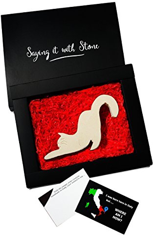 Gato Estirado de Piedra Hecho a Mano - Símbolo de Paciencia, Espíritu de Aventura, Curiosidad e Independencia - Caja de Regalo y Tarjeta de Mensaje - Cumpleaños Aniversario Felicitaciones Cat
