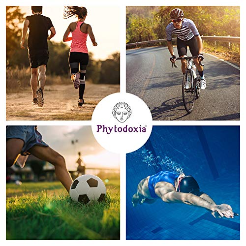 Gel Physio Cream 250 ml | Dolor Muscular y de Articulaciones Deporte | Crema Antiinflamatoria Dolor de Espalda | Crema Masaje Fisioterapia | Harpagofito Arnica Calendula Hiperico Menta