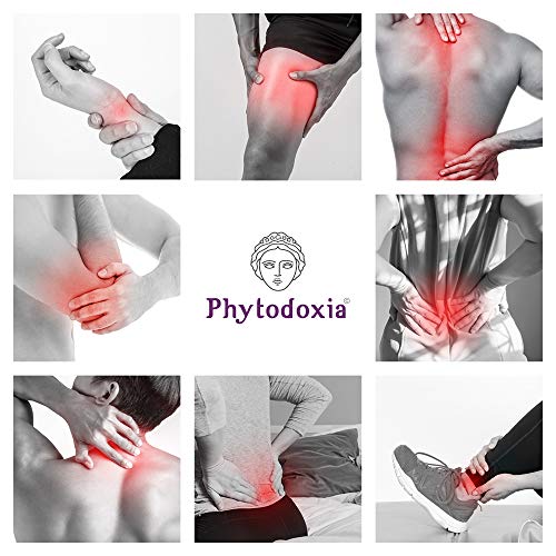 Gel Physio Cream 250 ml | Dolor Muscular y de Articulaciones Deporte | Crema Antiinflamatoria Dolor de Espalda | Crema Masaje Fisioterapia | Harpagofito Arnica Calendula Hiperico Menta