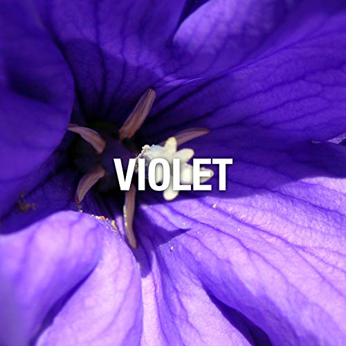 Geoffrey Beene Grey Flannel Men 120 Ml Eau De Toilette