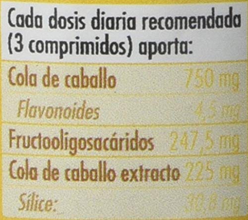 Ghf Cola de Caballo, 100 comprimidos 500 mg