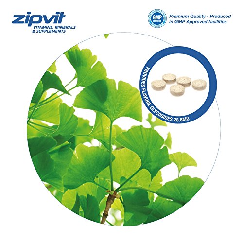 Ginkgo Biloba 6000mg Extracto estandarizado de hojas, 360 Tabletas Veganas con Vitamina B3 y B5. Aprobado por la Sociedad Vegetariana. Fabricado en el Reino Unido. Suministro por 12 meses.