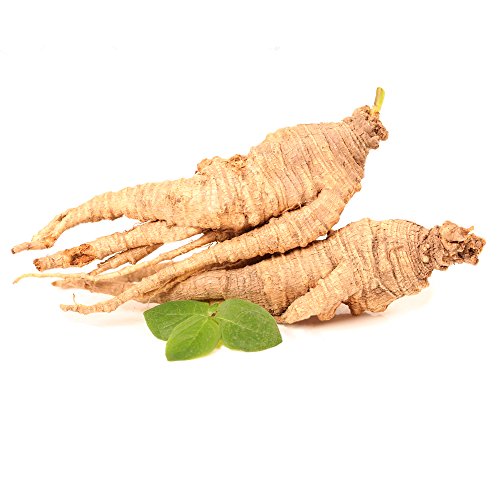 GINSENG BLANCO ECOLÓGICO EN POLVO * 25 raciones / 50g * Adaptógeno, energía, vitalidad, anti-cansancio, libido, sistema circulatorio * Garantía de satisfacción o reembolso * Fabricado en Francia