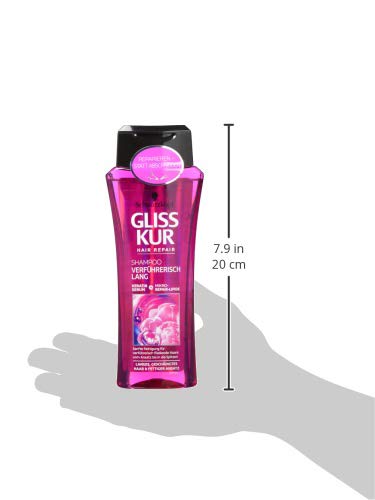Gliss Kur Champú verführer isch largo, 3 Pack (3 x 250 ml)