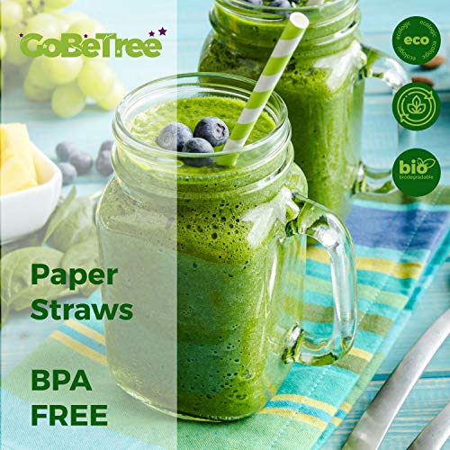 GoBeTree 300 Pajitas de Papel biodegradables con Colores Variados, Pajita Desechables ecológicas compostables. Cañitas para Fiestas, cumpleaños y Celebraciones. Bebidas frías y Calientes.