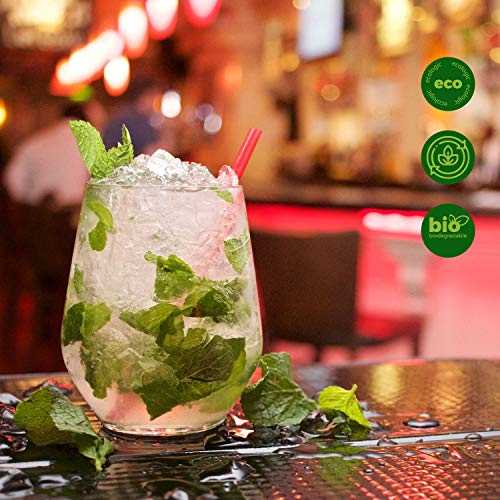 GoBeTree 300 pajitas de plástico pla Biodegradable de Colores Variados. Pajita Desechables ecológicas compostables. Cañitas para Fiestas y cumpleaños. Bebidas frías.