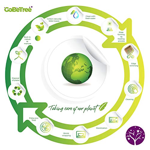 GoBeTree Vajilla desechable Hoja de Palma de 180 Piezas para 25 Personas. Platos biodegradables de Hoja de Palma Incluye 30 Platos, 25 Tenedores, 25 Cuchillos, 25 cucharas, 25 Vasos y 50 servilletas.