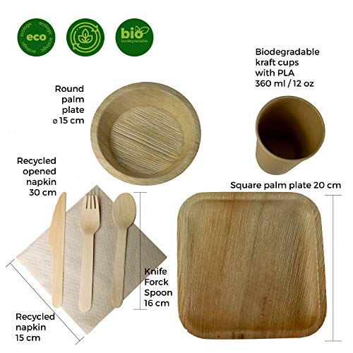 GoBeTree Vajilla desechable Hoja de Palma de 180 Piezas para 25 Personas. Platos biodegradables de Hoja de Palma Incluye 30 Platos, 25 Tenedores, 25 Cuchillos, 25 cucharas, 25 Vasos y 50 servilletas.