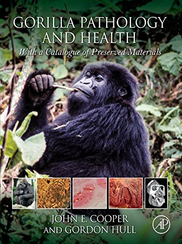 Gorilla Pathology and Health: With a Catalogue of Preserved Materials (English Edition)