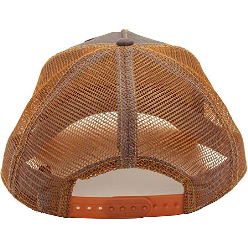 Gorra Goorin Bros Unisex Baseball Oso Grizzly