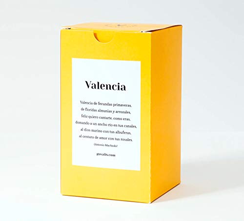 GOVALIS Vela Valencia | Perfumadas y Aromáticas | Cera de Soja & Coco 100% Natural – Velas Recuerdos Relajación Decorativas Yoga Grandes Blancas Cumpleaños Regalos Originales – 70-90 h – 390 g