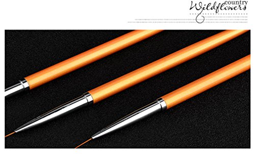 Gracelaza 3 PCS Nail Art Diseño Pintura que puntea la herramienta Pluma Pincel de dibujo polaco, 2