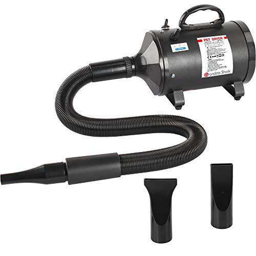 Grandma Shark Soplador de Agua para Mascotas de 2800 W, secador de Pelo para Mascotas con Manguera, 3 boquillas Opcionales