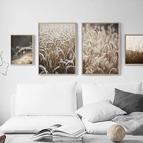 Granja trigo planta paisaje pájaro hoja paisaje arte lienzo pintura nórdica cartel sala decoración pintura 50x70 cm