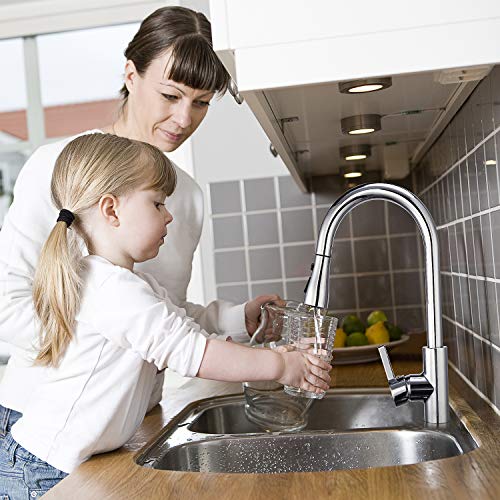 Grifo de Cocina, DALMO DAKF3F, Grifo Cocina extraible con Caño giratorio de 3 Modos de Rociado Rociador desplegable, Manija única de Arco Alto Extraiga, Acero Inoxidable Grifo de Cocina sin Plomo
