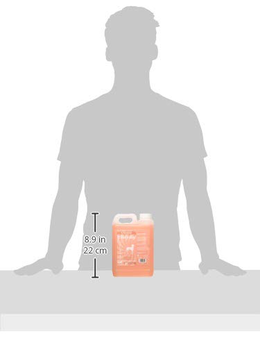 Groomers Peach y Albaricoque Perro champú, 2,5 L