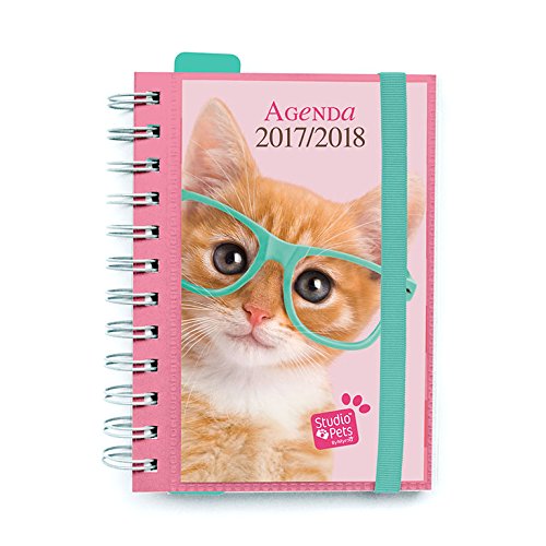 Grupo Erik Editores Agenda Escolar 2017/2018 Studio Pets Cat (Editado en Portugués)