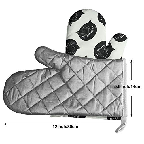 Hang in There Humor divertido Novedades Guitar Picks Medium Gauge - Set de 6